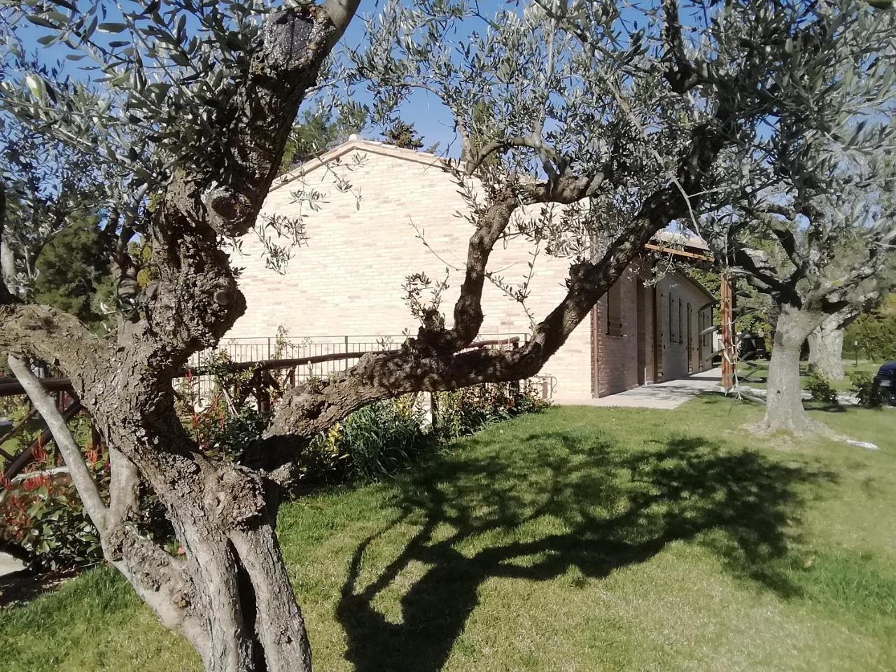 דירות Treia Il Roccolo Di Valcerasa מראה חיצוני תמונה