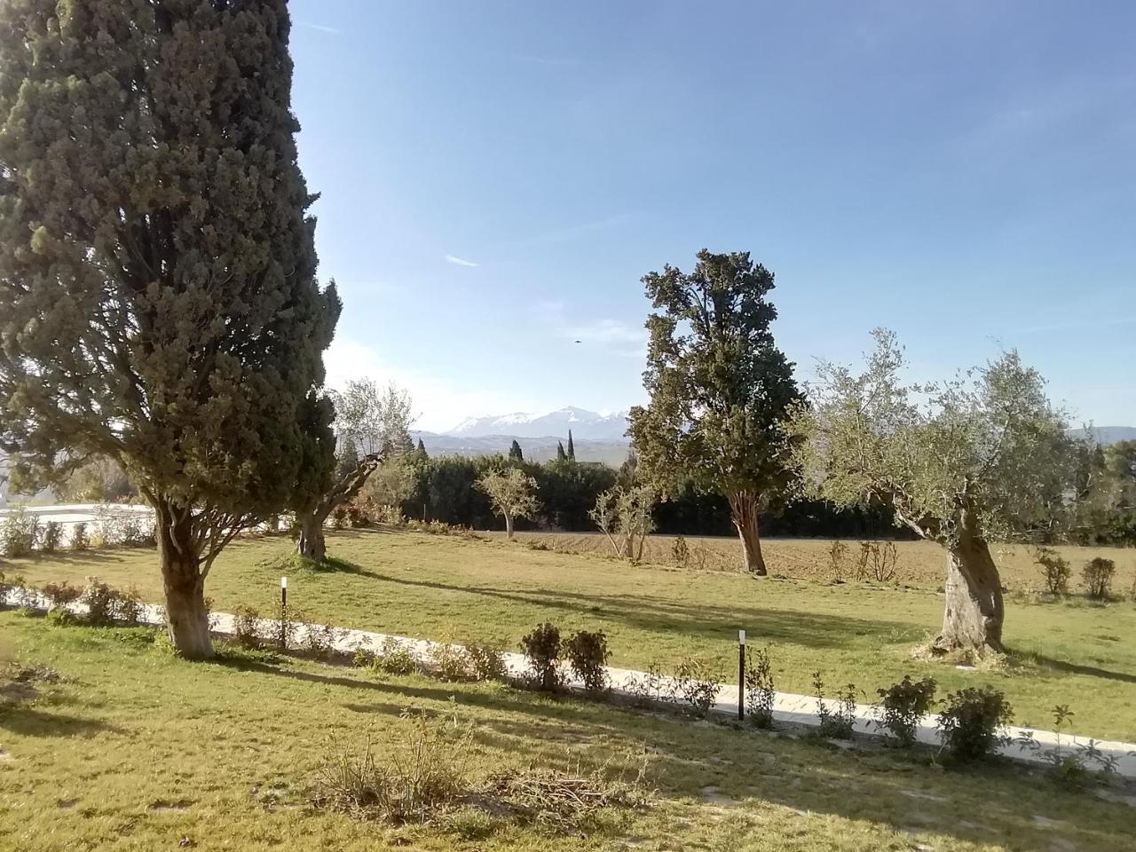 דירות Treia Il Roccolo Di Valcerasa מראה חיצוני תמונה